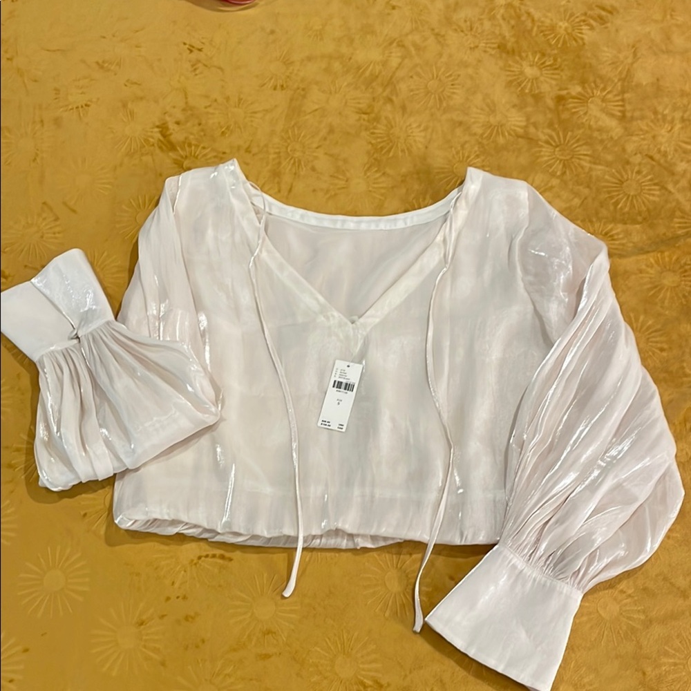 Anthropologie Silky Cream Sheer V Neck Women's Top Long Sleeve Wide Cuffs NWT